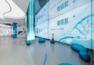 山东全自动奶酪生产线