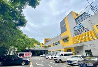 陕西省山棕床垫质量